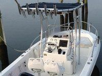 37337-2.jpg