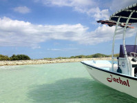 1976 Boston Whaler Montauk 17' with SG300