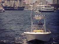 44092-2.jpg