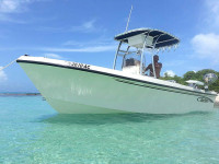 75183-1.jpg