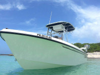 75183-3.jpg