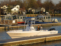 75981-4.jpg