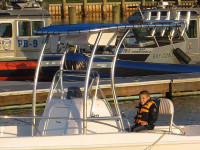 75981-5.jpg