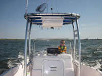 75981-6.jpg