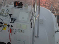75981-8.jpg