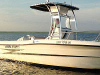 78070-2.jpg