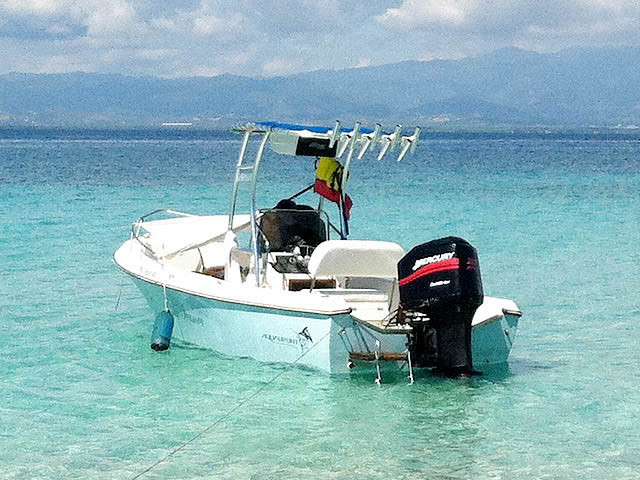 スポーツ・フィットネス U.W.F. BEST BOUT 1989 1989 Aquasport Osprey with SG300 Review | Stryker T-Tops