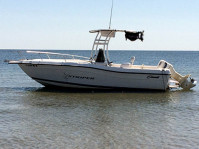 2000 Striper Seaswirl  with SG300