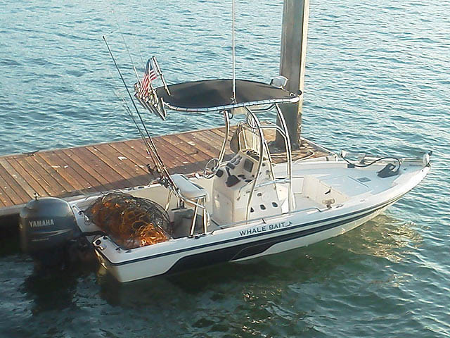 2004 skeeter zx20 bay with SG600 Review Stryker T Tops