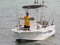 37433-2.jpg