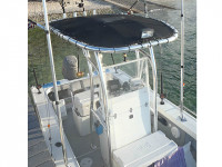 37433-3.jpg