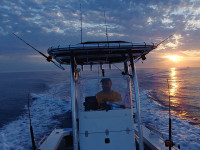 37433-6.jpg