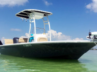 2016 Tidewater 1910 Baymax with SG300 T-Top