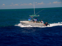 durante-3