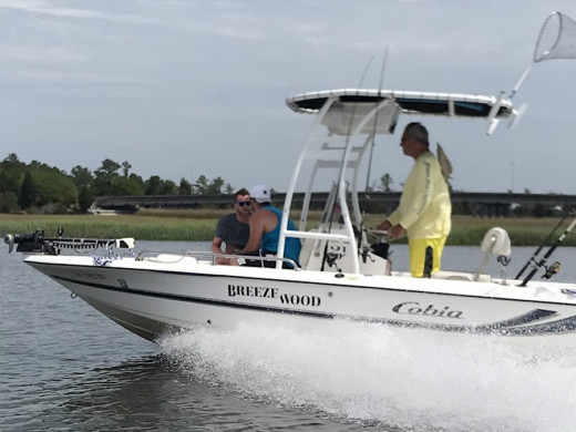 2003 Cobia 191 Bay with SG300 T-Top