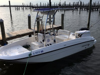 2019 Bayliner Element 18 with SG300 T-Top