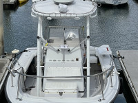 adamo-boston-whaler-boat-ttop-4.jpg