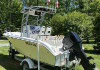 2004 Sea Fox 201CC with SG900 T-Top