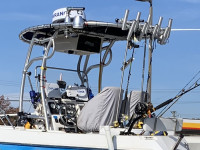 sportcat-catamaran-boat-ttop-2.jpg