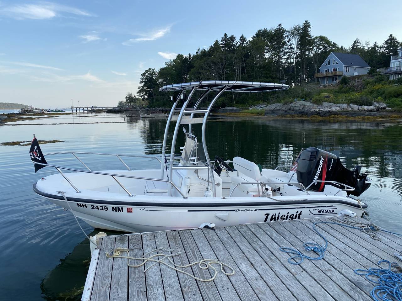 2001 Boston Whaler 16’ Dauntless with a SG300 boat t-top, photo 1 of 4