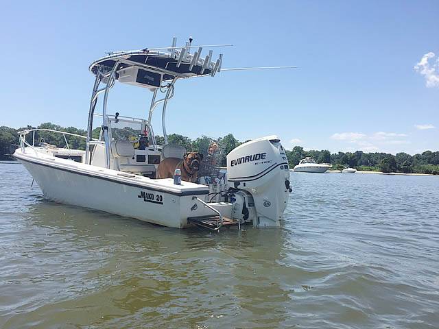1982 Mako 20' with a SG600 boat t-top, photo 1 of 4