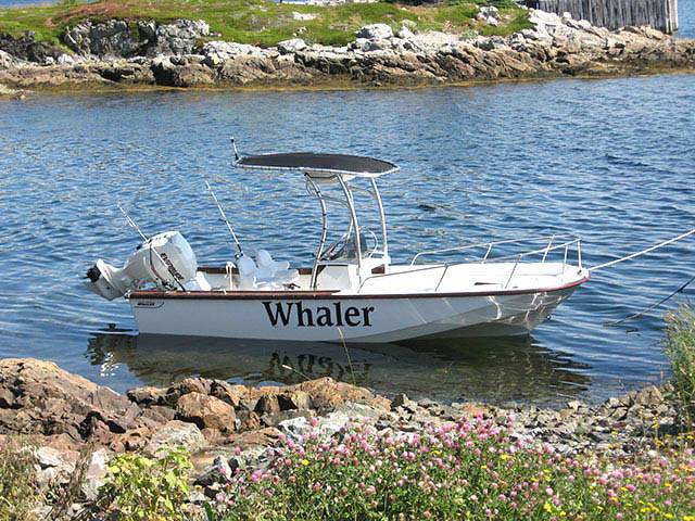 1984 Boston Whaler 20' with a SG600 boat t-top