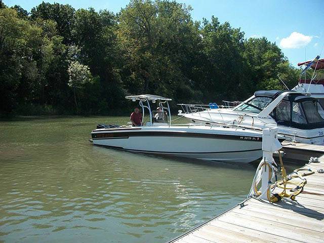 1985 Scarab Sport with a SG600 boat t-top, photo 2 of 3