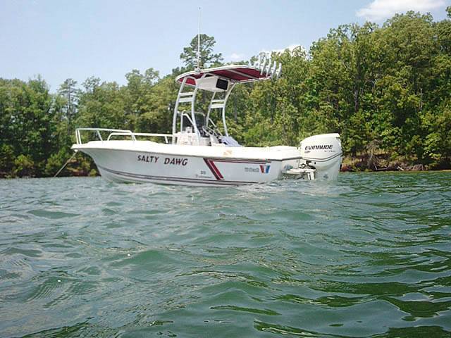 1988 Wellcraft Fisherman 20' with a SG300 boat t-top, photo 1 of 5