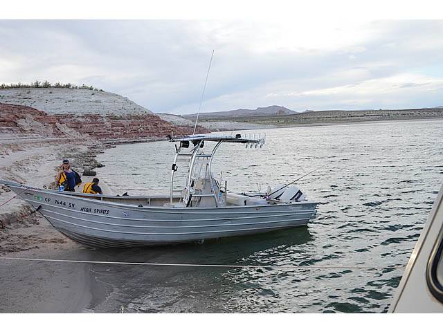 1989 Baja Bayrunner with a SG300 boat t-top, photo 2 of 7