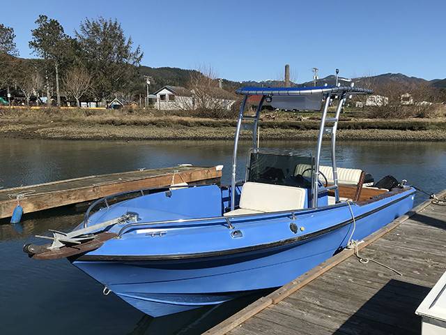 1991 Marlin CC 19' with a SG300 boat t-top, photo 1 of 3