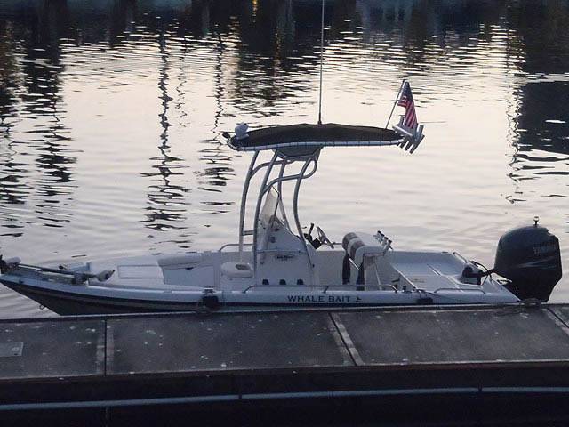 2004 Skeeter zx20 bay with a SG600 boat t-top, photo 2 of 5
