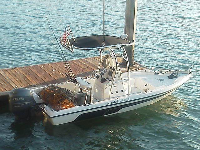 2004 Skeeter zx20 bay with a SG600 boat t-top, photo 3 of 5