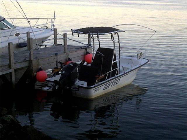 2007 Boston Whaler 17' with a SG600 boat t-top, photo 2 of 5