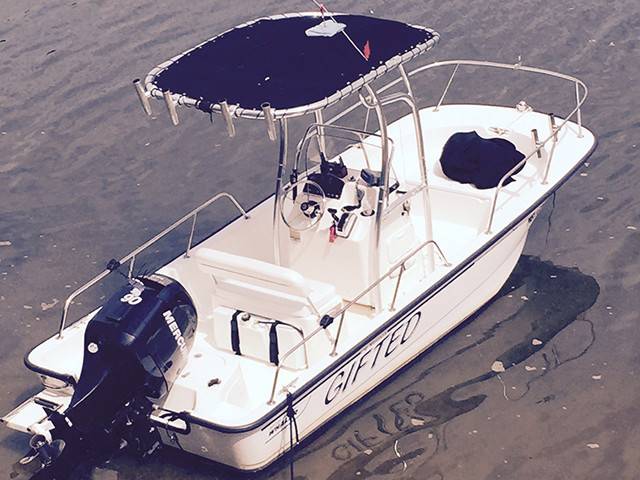 2007 Boston Whaler 17' with a SG600 boat t-top, photo 3 of 5