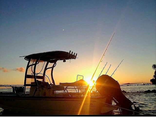 2012 Boston Whaler Montauk 19' with a SG600 boat t-top, photo 1 of 2