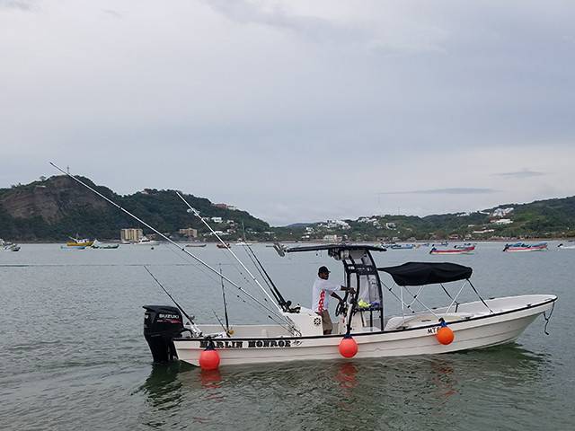 2015 Yamaha Consuelo with a SG300 boat t-top, photo 3 of 4