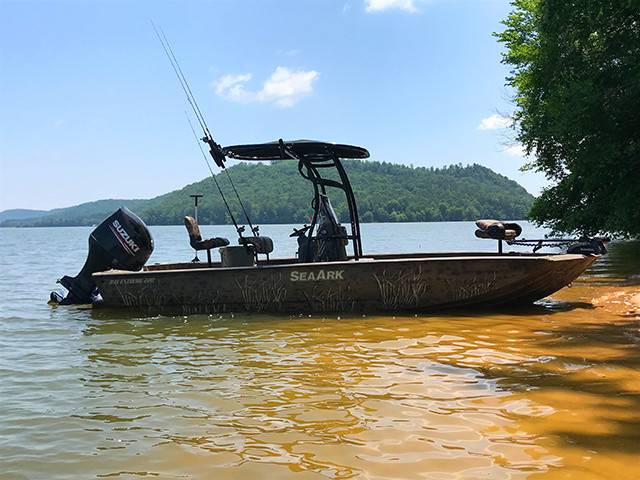 2017 SeaArk BX220 with a SG600 boat t-top, photo 3 of 4