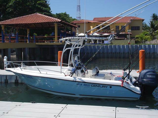 Century with a SG600 boat t-top, photo 2 of 2