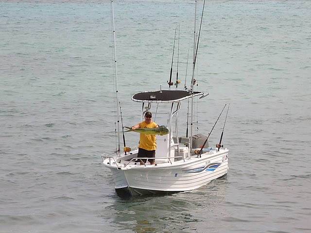 Quintrex 18 C/C with a SG600 boat t-top, photo 1 of 6