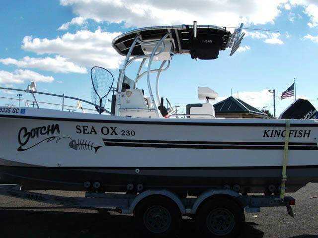 Sea Ox 230 KINGFISH with a SG600 boat t-top