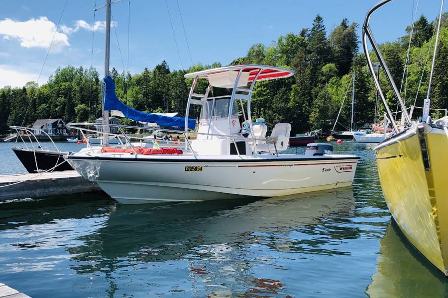 1996 Boston Whaler Outrage 19 with a SG300 boat t-top, photo 1 of 2