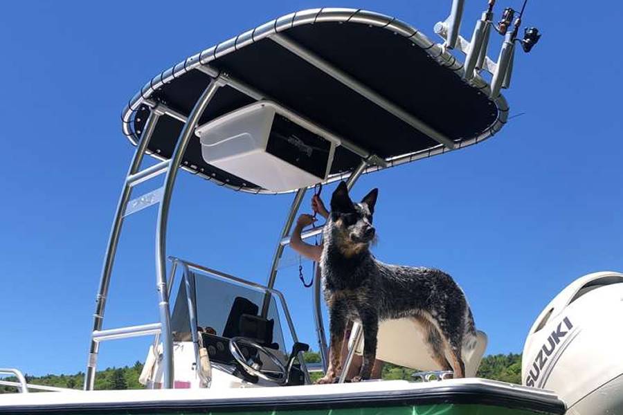 2001 Mako 171 with a SG300 boat t-top, photo 3 of 6