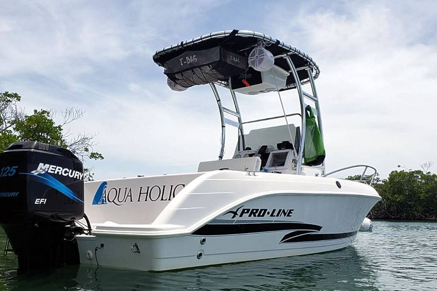 2002 Pro-Line with a SG300 boat t-top, photo 1 of 4