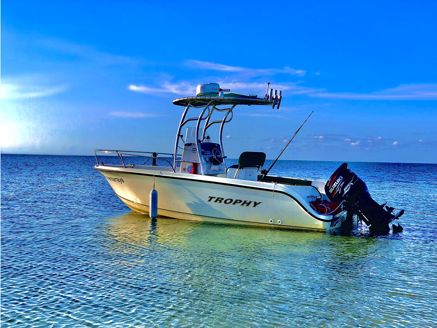 2002 Trophy 1903 with a SG600 boat t-top, photo 1 of 5
