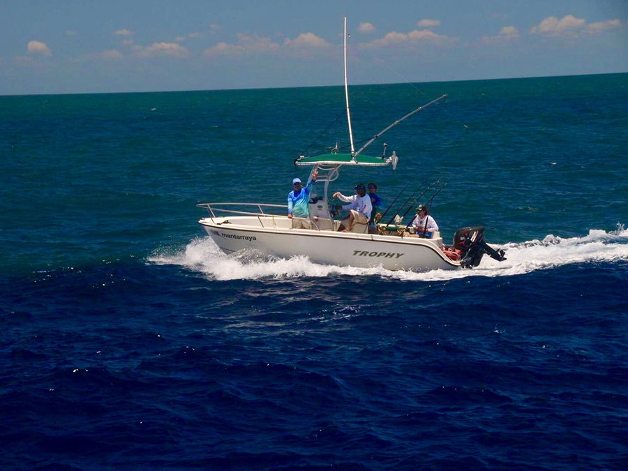 2002 Trophy 1903 with a SG600 boat t-top, photo 2 of 5