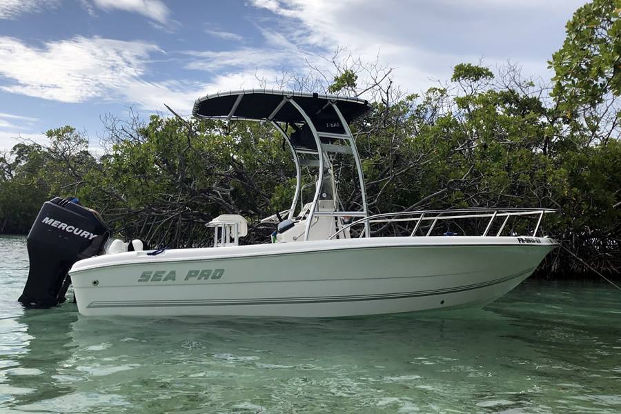 2006 Sea Pro with a SG300 boat t-top, photo 1 of 2