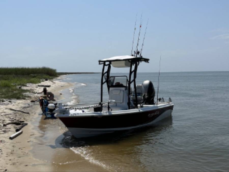2016 BlueWave 2200 Purebay with a SG900 boat t-top, photo 3 of 9