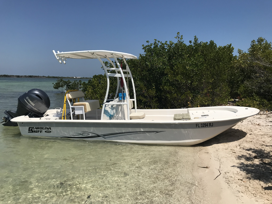 2017 Carolina Skiff JVX 20 with a SG300 boat t-top, photo 1 of 3
