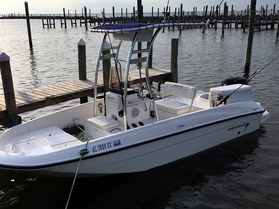 2019 Bayliner Element 18 with a SG300 boat t-top, photo 1 of 3