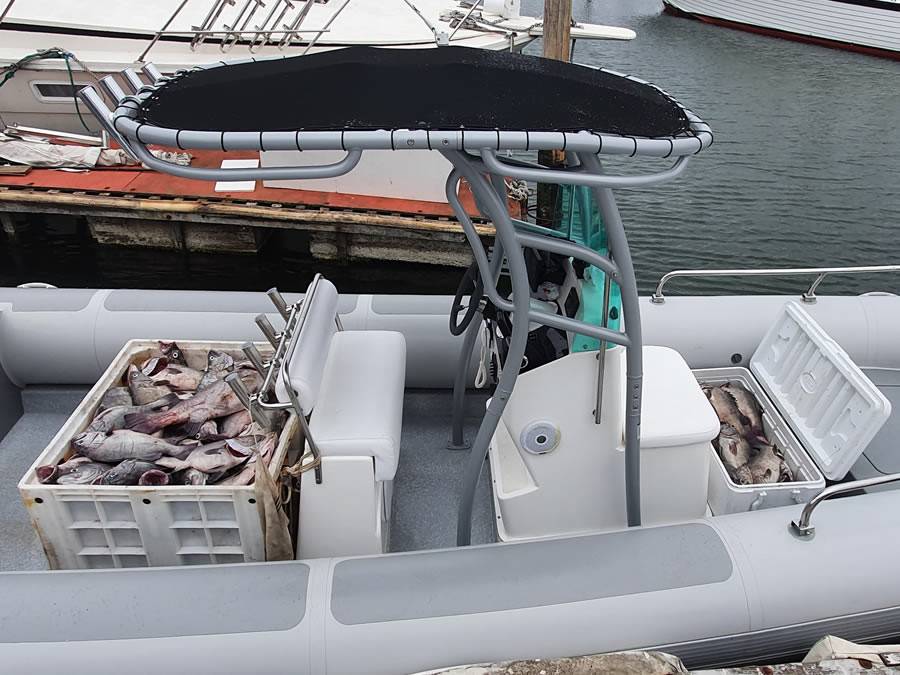 2019 RIB 8 with a SG900 boat t-top, photo 2 of 10